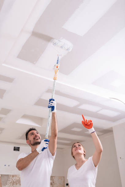 Best Mold Removal for HVAC Installations  in Von Ormy, TX